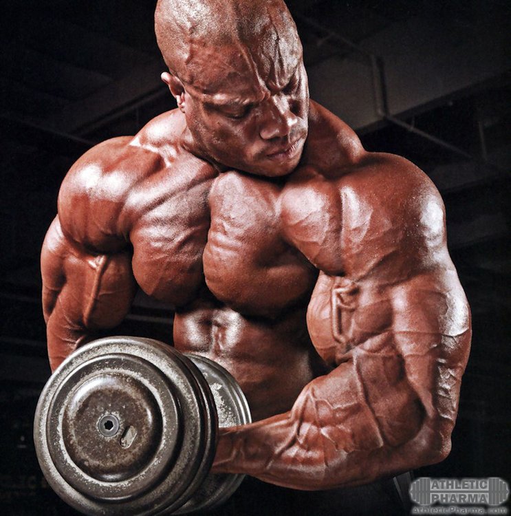 pheal_heath_bicepsi.jpg
